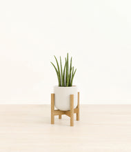 Load image into Gallery viewer, Cotton White stand:bamboo