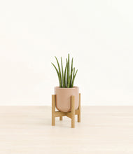 Load image into Gallery viewer, Glossy Pink stand:bamboo
