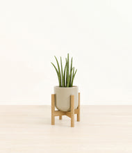 Load image into Gallery viewer, Sage Green stand:bamboo