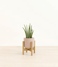 Load image into Gallery viewer, Sandy Pink stand:bamboo
