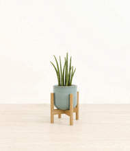 Load image into Gallery viewer, Reactive Aqua stand:bamboo