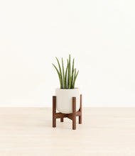 Load image into Gallery viewer, Cotton White stand:walnut