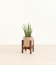Load image into Gallery viewer, Glossy Pink stand:walnut