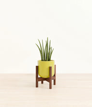 Load image into Gallery viewer, Key Lime Yellow stand:walnut