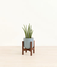 Load image into Gallery viewer, Misty Blue stand:walnut