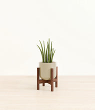 Load image into Gallery viewer, Sage Green stand:walnut