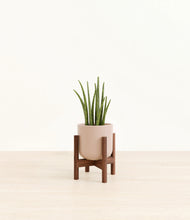 Load image into Gallery viewer, Sandy Pink stand:walnut