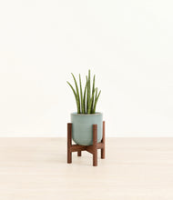 Load image into Gallery viewer, Reactive Aqua stand:walnut