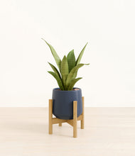 Load image into Gallery viewer, Deep Navy stand:bamboo