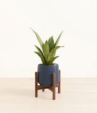 Load image into Gallery viewer, Deep Navy stand:walnut