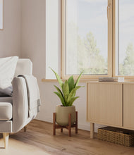 Load image into Gallery viewer, Olive stand:walnut