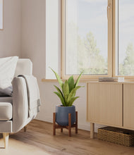 Load image into Gallery viewer, Deep Navy stand:walnut