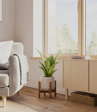 Load image into Gallery viewer, Eternal Gray stand:walnut