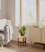 Load image into Gallery viewer, Gentle Pink stand:walnut