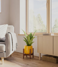 Load image into Gallery viewer, Mustard stand:walnut