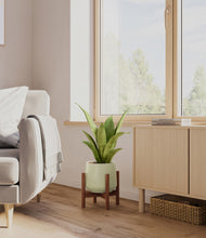 Load image into Gallery viewer, Turquoise stand:walnut