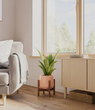 Load image into Gallery viewer, Calm Rose stand:walnut