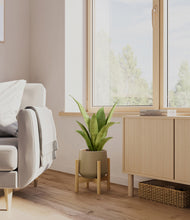 Load image into Gallery viewer, Olive stand:bamboo