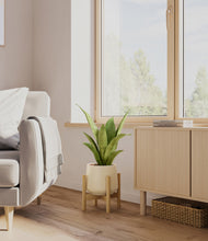 Load image into Gallery viewer, Almond Green stand:bamboo