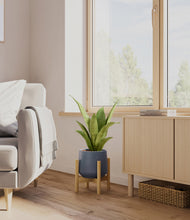 Load image into Gallery viewer, Deep Navy stand:bamboo