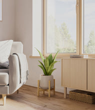 Load image into Gallery viewer, Eternal Gray stand:bamboo