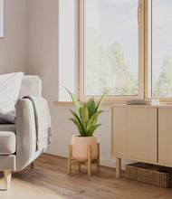 Load image into Gallery viewer, Gentle Pink stand:bamboo