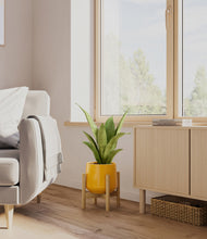 Load image into Gallery viewer, Mustard stand:bamboo