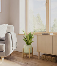 Load image into Gallery viewer, Turquoise stand:bamboo