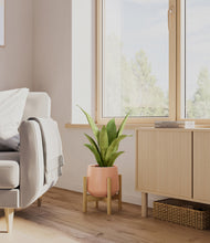 Load image into Gallery viewer, Calm Rose stand:bamboo