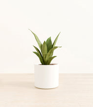 Load image into Gallery viewer, White*****Profile