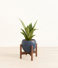 Load image into Gallery viewer, Deep Navy stand:walnut