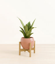 Load image into Gallery viewer, Calm Rose stand:bamboo