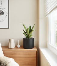 Load image into Gallery viewer, Black