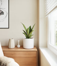 Load image into Gallery viewer, White