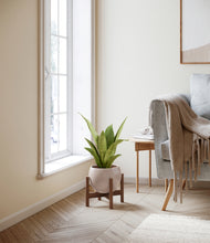 Load image into Gallery viewer, Desert Brown stand:walnut