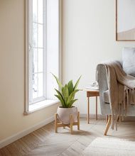 Load image into Gallery viewer, Desert Brown stand:bamboo