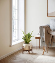 Load image into Gallery viewer, Shiny EggWhite stand:walnut