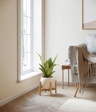 Load image into Gallery viewer, Shiny EggWhite stand:bamboo