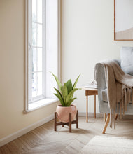 Load image into Gallery viewer, Calm Rose stand:walnut