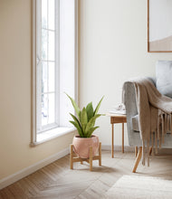 Load image into Gallery viewer, Calm Rose stand:bamboo