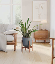 Load image into Gallery viewer, Iron Gray stand:walnut