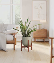 Load image into Gallery viewer, Sage Green stand:walnut