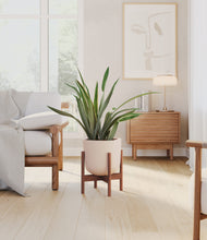 Load image into Gallery viewer, Sandy Pink stand:walnut