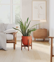 Load image into Gallery viewer, Earth Red stand:walnut