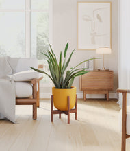 Load image into Gallery viewer, Sunset Orange stand:walnut