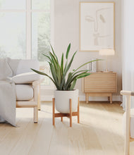 Load image into Gallery viewer, Natural Bamboo stand:bamboo