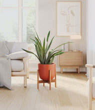 Load image into Gallery viewer, Earth Red stand:bamboo