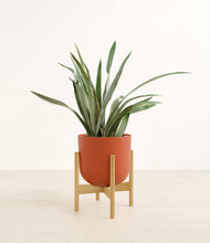 Load image into Gallery viewer, Earth Red stand:bamboo