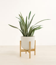 Load image into Gallery viewer, Natural Bamboo stand:bamboo