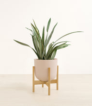 Load image into Gallery viewer, Sandy Pink stand:bamboo